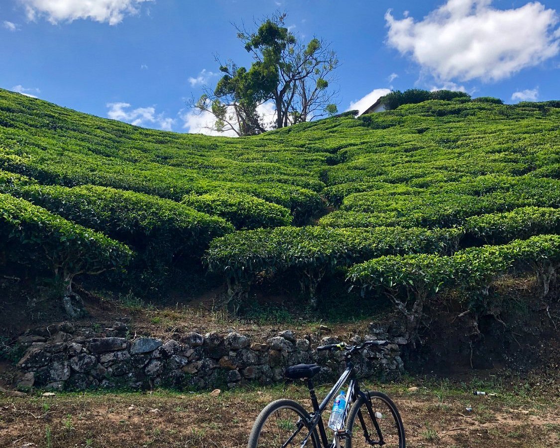 Cycling in Munnar & Periyar: The High Range Expedition 4 Days